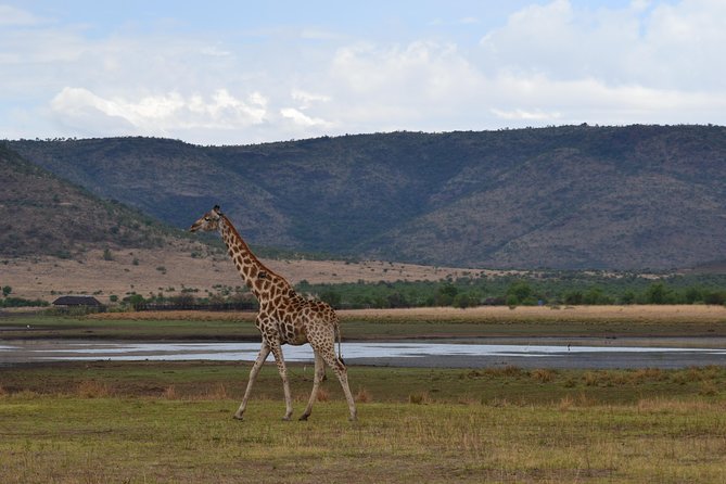 Pilanesberg National Park Day Tour from Pretoria, every SATURDAY - Pilanesberg: The Fast Big Five Alternative to Kruger