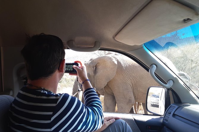 Pilanesberg National Park Day Tour from Pretoria, every SATURDAY - Where the Value Really Comes From: What You Pay For