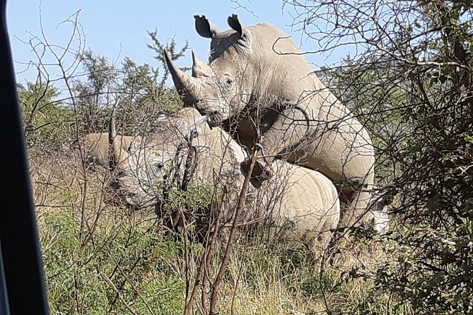 Pilanesberg National Park Day Tour from Pretoria, every SATURDAY - Guides and the Little Things That Make the Day Flow