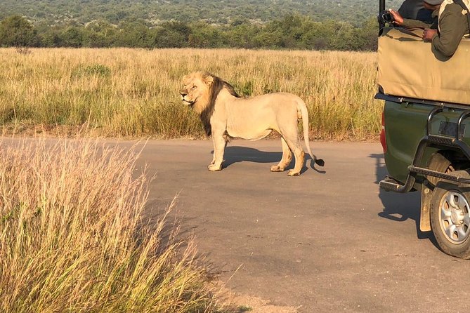Pilanesberg National Park Full Day Safari From Johannesburg - Johannesburg to Pilanesberg: that early 6:00 am start