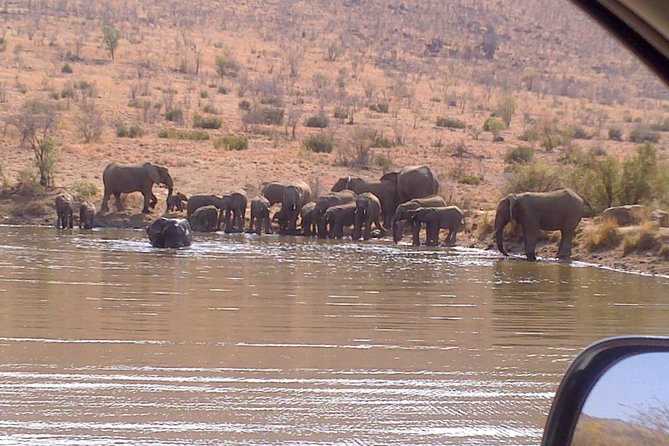 Pilanesberg National Park Full-Day Tour from Johannesburg - Your Guided Game Drive (10:00 to 16:00): How to Get Real Value Out of 6 Hours
