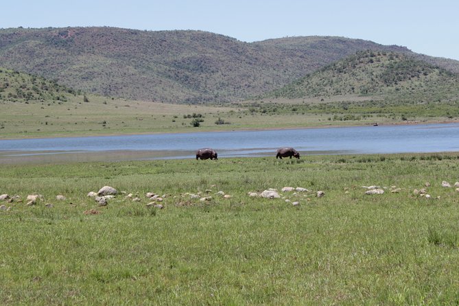 Pilanesberg National Park Full-Day Tour from Johannesburg - What I’d Do Differently to Make This Day Even Better