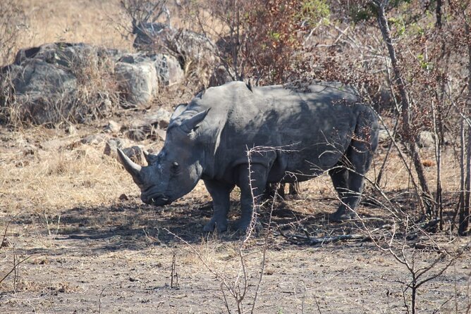 Pilanesberg National Park Safari, BIG 5 Full Day - Heading Into Pilanesberg: What the Park Drive Is Actually Like