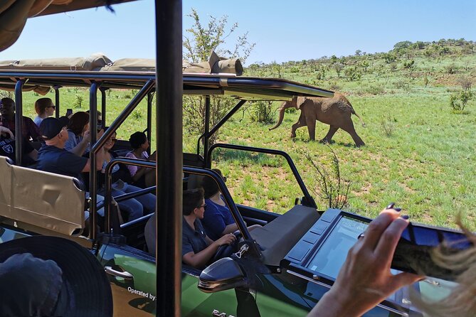 Pilanesberg National Park Safari from Johannesburg - Pilanesberg’s wildlife playground, in plain terms