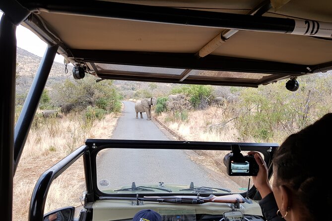 Pilanesberg National Park Safari from Johannesburg - Viewing the Big Five: how to think about sightings