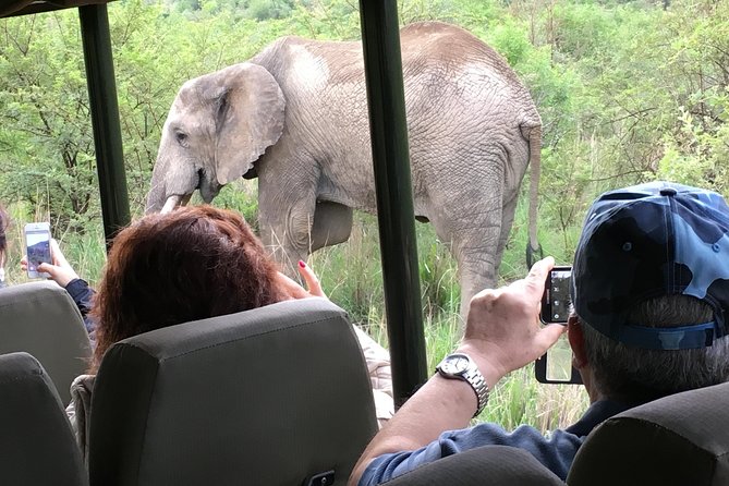 Pilanesberg National Park Safari from Johannesburg - Lunch on safari mornings, why it helps more than you think