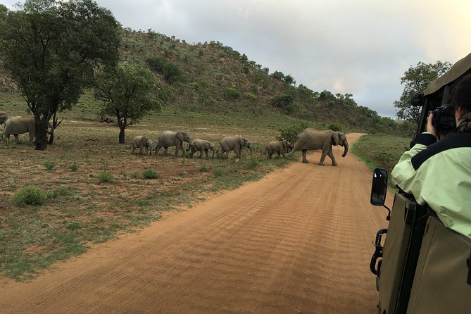 Pilanesberg National Park Safari from Johannesburg - The 6:00am start and the ride out of Johannesburg