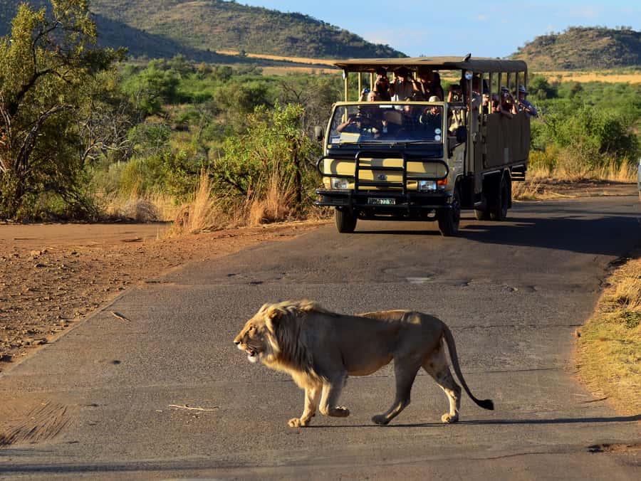 Pilanesberg National Park/Sun City Hot Air Balloon Safari - Weather Dependence, Shared Flight Timing, and Dress Tips That Matter