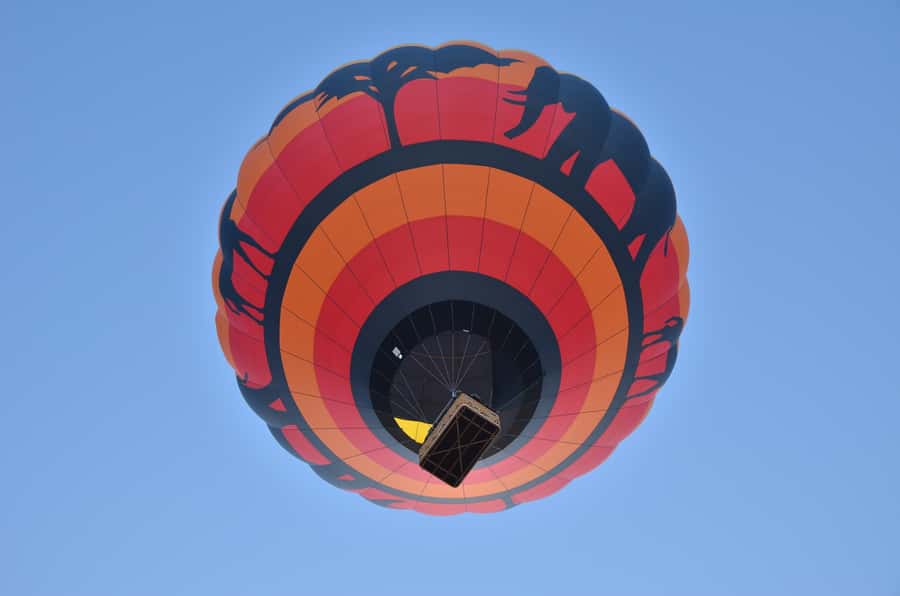 Pilanesberg National Park/Sun City Hot Air Balloon Safari - The Launch Site Ritual, Basket Height and Safety Reality