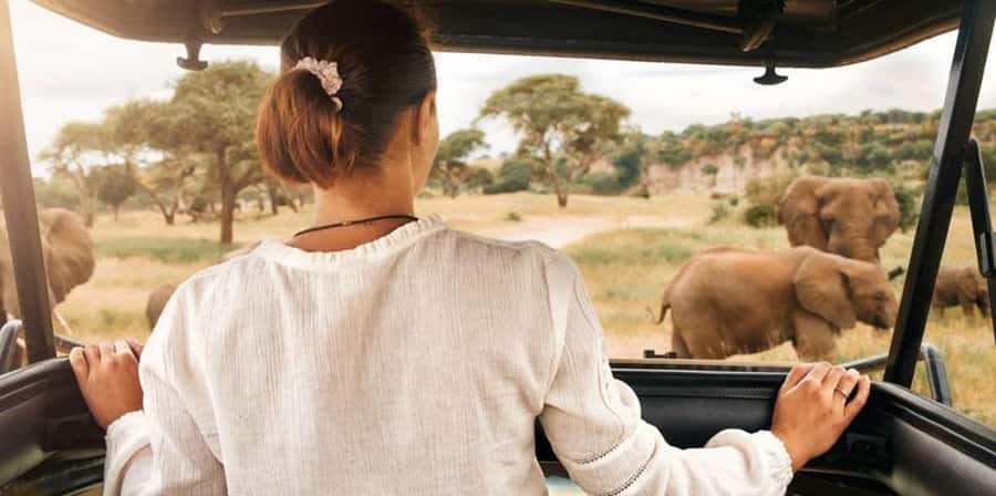 Pilanesberg: Two-Day Camping Adventure from Johannesburg - Key Moments That Make This Safari Work