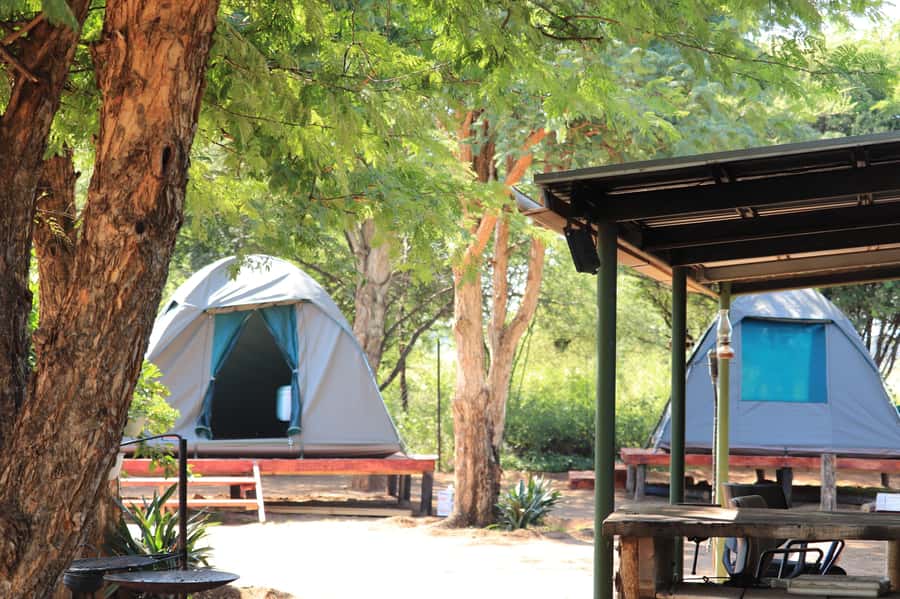 Pilanesberg: Two-Day Camping Adventure from Johannesburg - Three Open-Vehicle Game Drives, and Why That’s the Point
