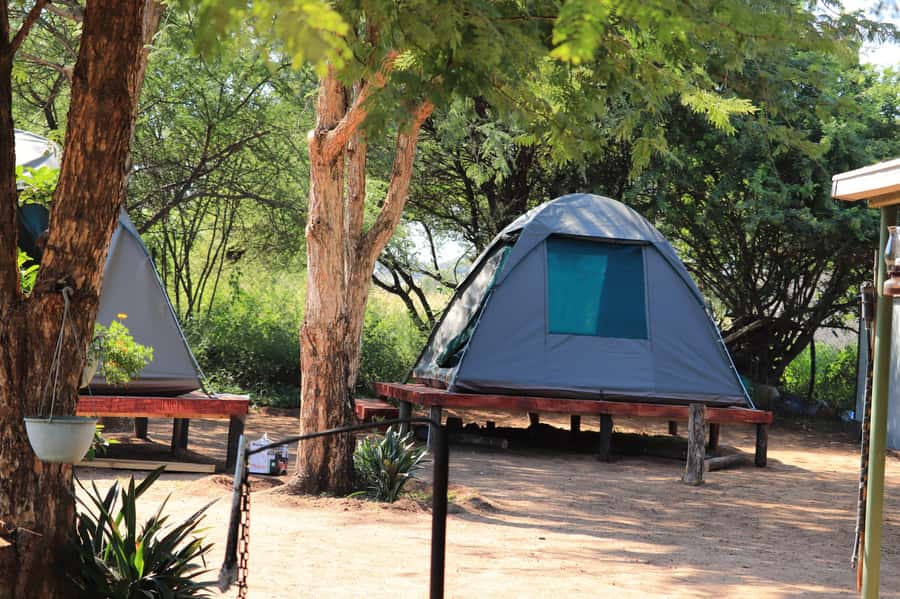 Pilanesberg: Two-Day Camping Adventure from Johannesburg - Tlou Tented Safari Camp and Camping Comfort You Can Actually Use
