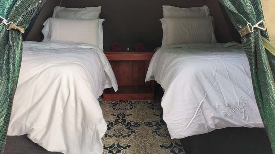 Pilanesberg: Two-Day Camping Adventure from Johannesburg - Johannesburg Pickup, Comfort Stops, and Real-Life Timing