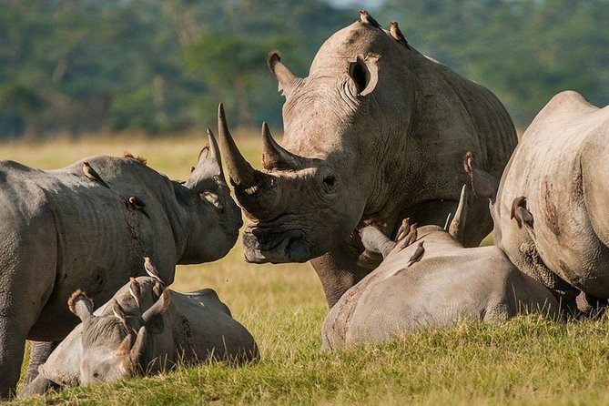 Pilanesberg Wildlife Safari - Beyond the Mammals: Bird Hides and Why You Should Look Up