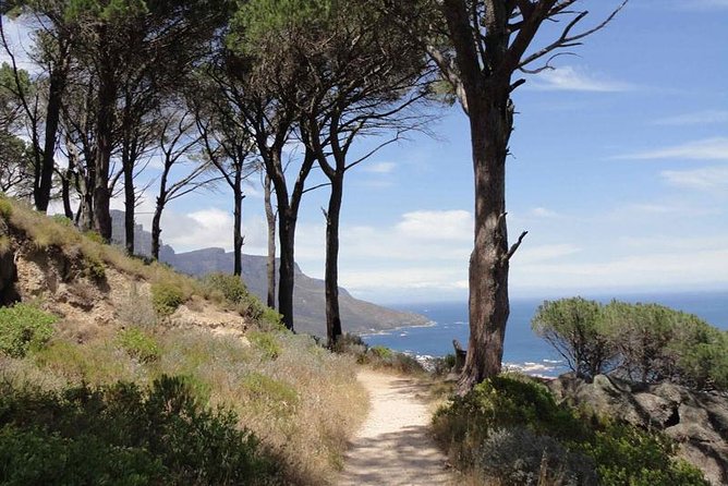 Pipetrack Hike for the whole family on Table Mountain - PRIVATE - Key highlights you will feel on the hike