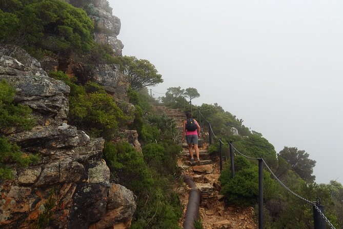 Pipetrack Hike for the whole family on Table Mountain - PRIVATE - Why the Pipetrack is a smart Table Mountain plan