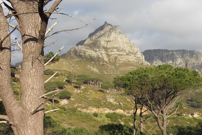 Pipetrack Hike for the whole family on Table Mountain - PRIVATE - How “easy” is this hike for kids and mixed fitness?