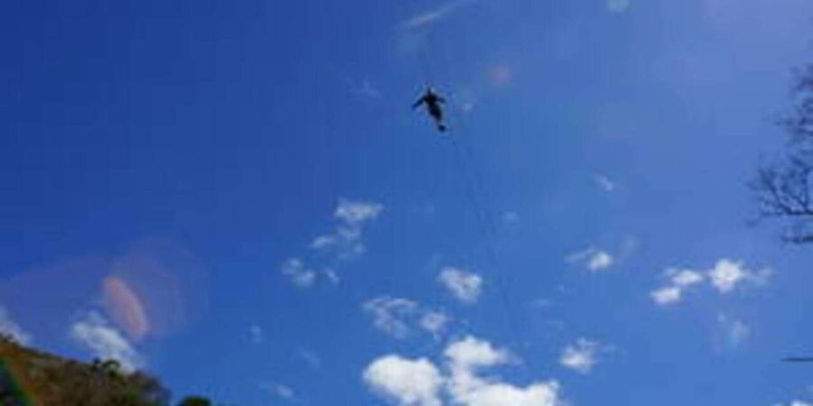 Plettenberg: 2-Hour Zipline Tour - Flying the Lines: Forest, Cliffs, and Indian Ocean Views From Above