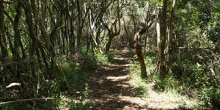 Plettenberg: 2-Hour Zipline Tour - What to Wear: Shoes and Clothes That Let You Move Comfortably