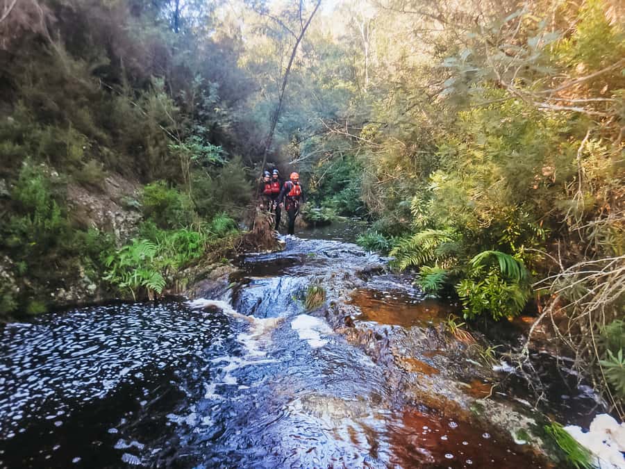 Plettenberg Bay: Canyoning Trip - Key things to know before you go