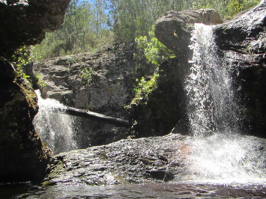 Plettenberg Bay: Canyoning Trip - Optional Cliff Jumps Up to About 7 Meters