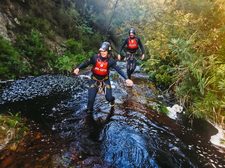 Plettenberg Bay: Canyoning Trip - Indigenous Forest Canyon Views You Actually Get to Enjoy