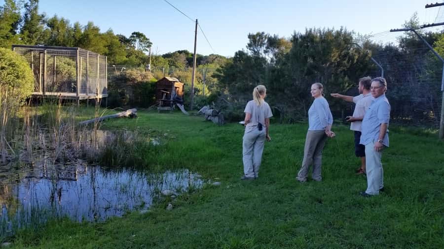 Plettenberg Bay: Cats in Conservation Full Day Tour - Getting ready: shoes, sun, rain gear, and the no-touch rules
