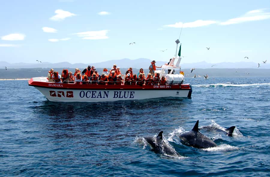 Plettenberg Bay: Dolphin and Marine Boat Tour - Meeting Ocean Blue Adventures and getting set for the sea