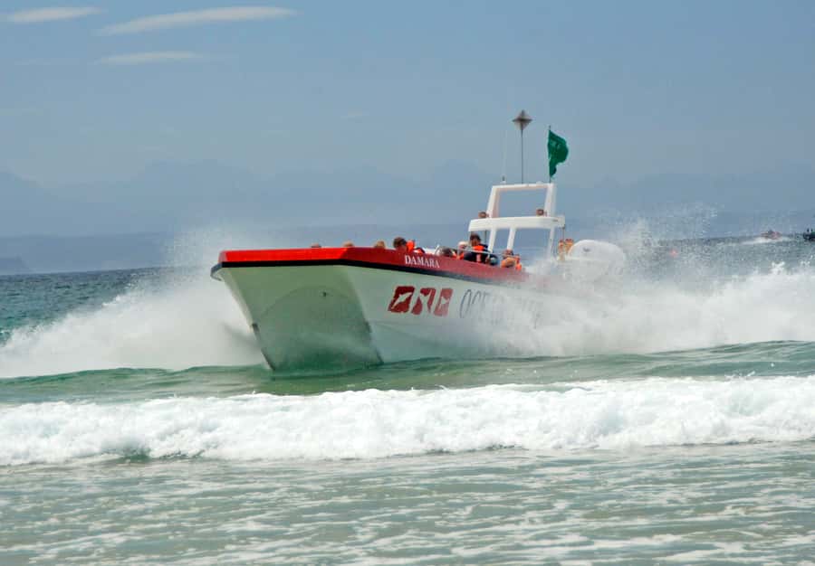 Plettenberg Bay: Dolphin and Marine Boat Tour - The surf launch out of Plettenberg Bay, then toward Keurbooms Beach