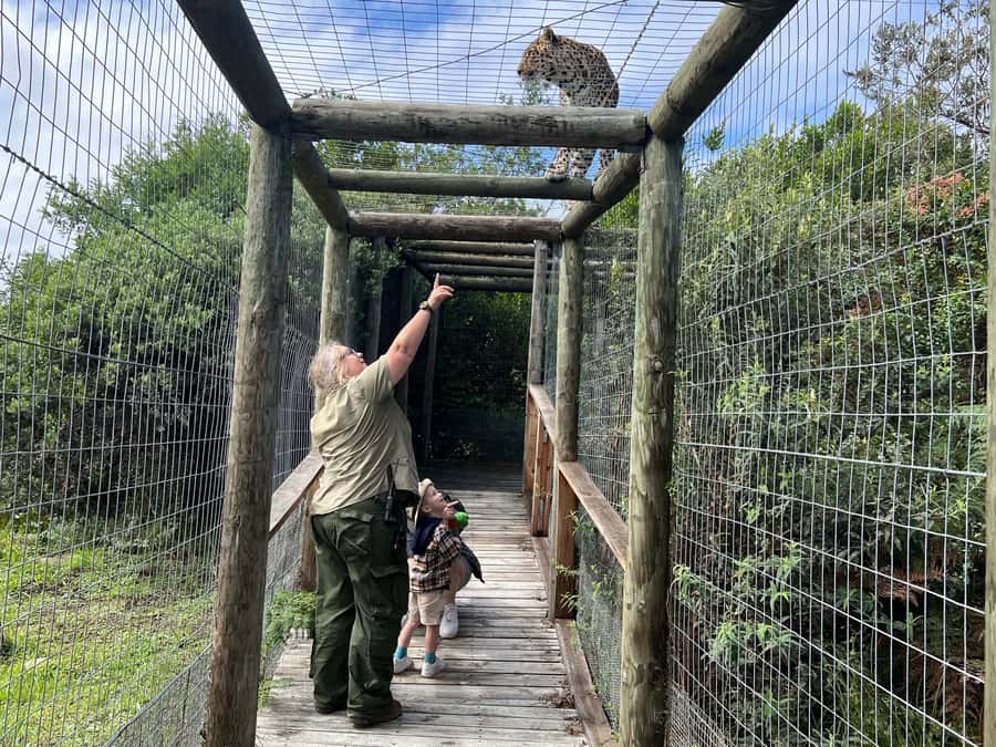 Plettenberg Bay: EcoKidz Family Wildlife Tour - Tenikwa Wildlife Rehabilitation, the setting for EcoKidz