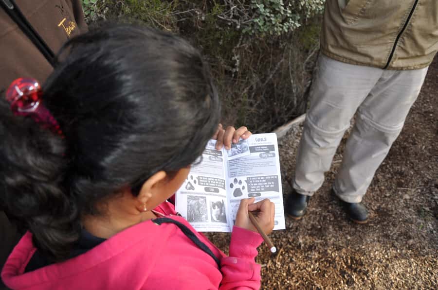Plettenberg Bay: EcoKidz Family Wildlife Tour - EcoKidz booklet quizzes and certificates, turning a walk into a keepsake