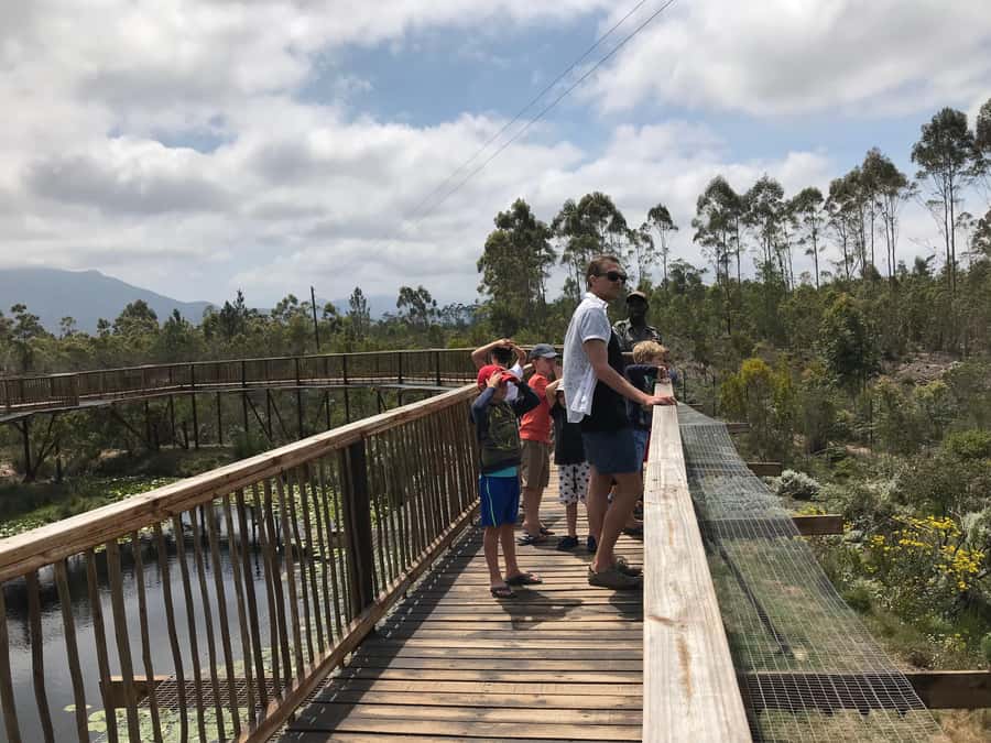 Plettenberg Bay: EcoKidz Family Wildlife Tour - The 90-minute EcoKidz tour pace, built for ages 5 to 12