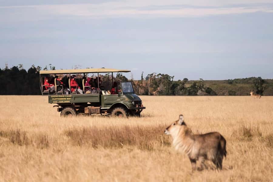 Plettenberg Bay Game Reserve: 2-Hour Game Drive - What happens during the 2-hour game drive