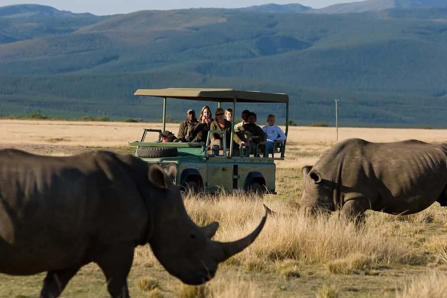 Plettenberg Bay Game Reserve: 2-Hour Game Drive - Finding the Safari Center and planning for a smooth start