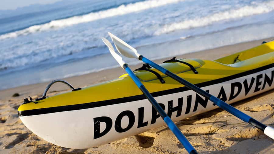 Plettenberg Bay: Guided Sea Kayak Tour - Quick hits before you paddle