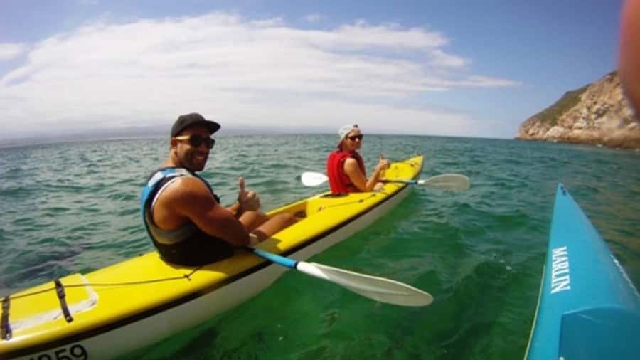 Plettenberg Bay: Guided Sea Kayak Tour - Price and Logistics: What You Pay For, and What You Need to Sort