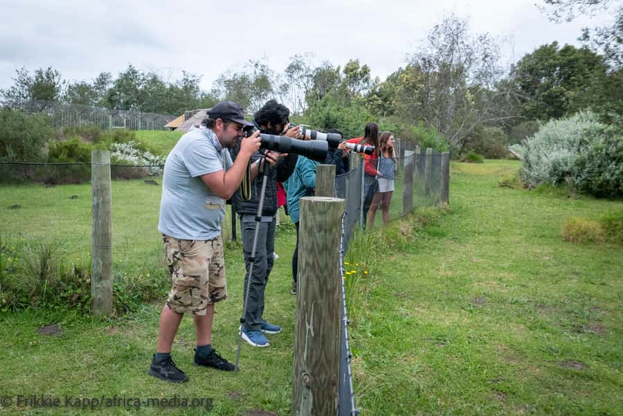 Plettenberg Bay: Private Guided Wildlife Photography Tour - Key Things You Should Know Before You Go