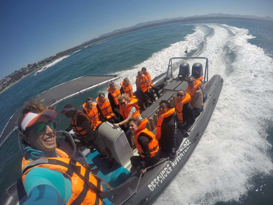 Plettenberg Bay: Seal Colony Viewing Excursion - How the Boat Works if Some People Want to Swim