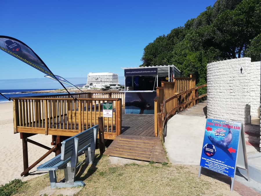 Plettenberg Bay: Seal Swimming Experience - Key highlights you will actually care about