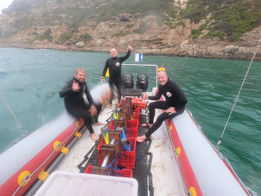 Plettenberg Bay: Seal Swimming Experience - 20 to 25 minutes in the water: what the swim actually feels like