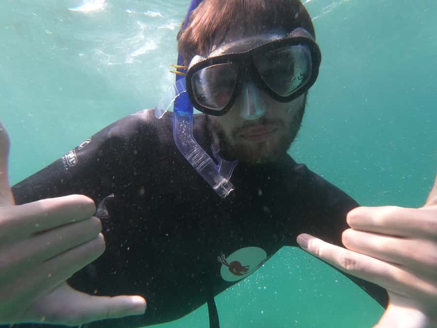 Plettenberg Bay: Seal Swimming Experience - Guides and support: the real reason this tour earns top marks