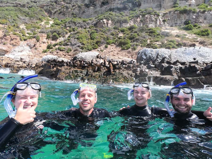 Plettenberg Bay: Seal Swimming Experience - Weather reality: the one logistical catch to plan around