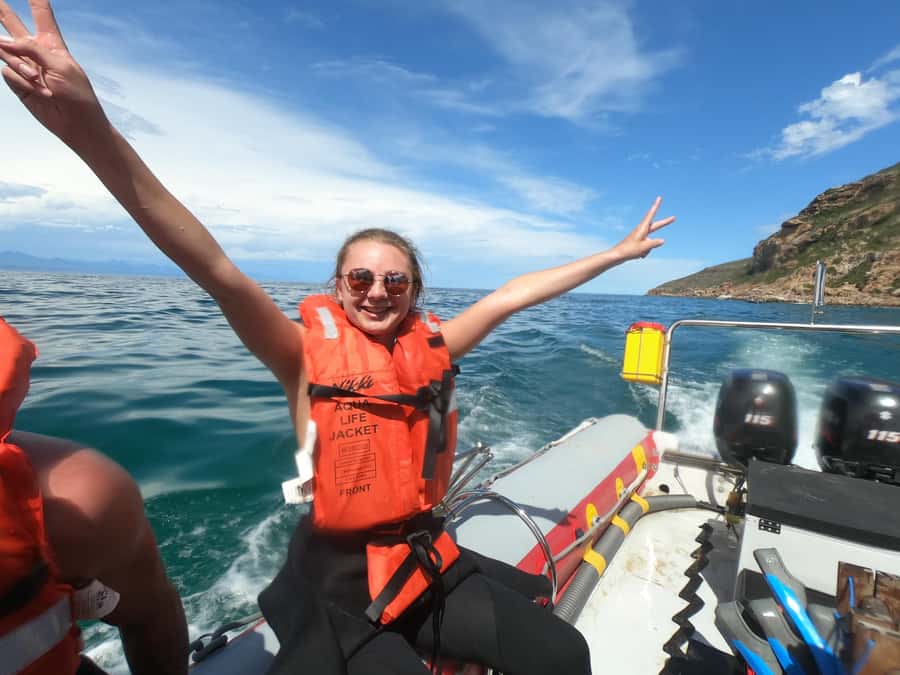 Plettenberg Bay: Seal Swimming Experience - Should you book Plett Seal Adventures for seal swimming?