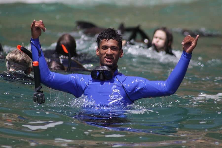 Plettenberg Bay: Seal Swimming Experience - The boat ride to Robberg: your first seal sightings before you swim