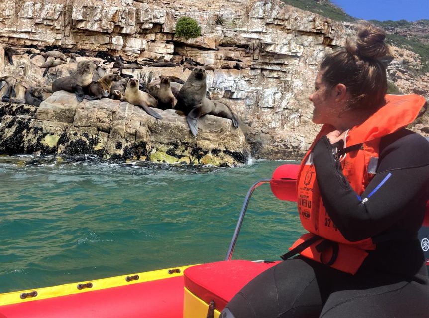 Plettenberg Bay: Seal Viewing Boat Trip - Getting to Beacon Island and starting from the beach