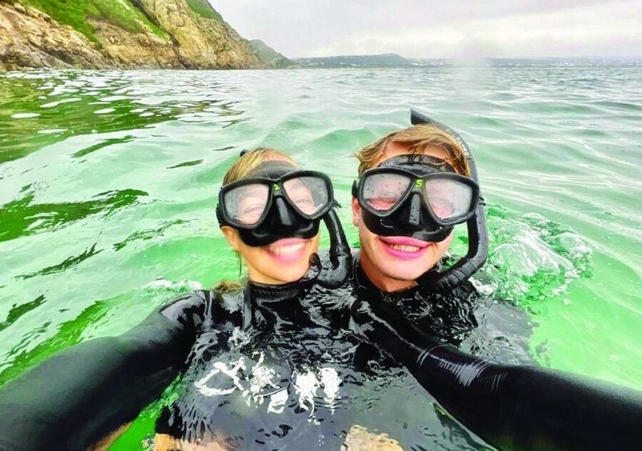 Plettenberg Bay: Seal Viewing Boat Trip - Family friendly, even if you do not snorkel