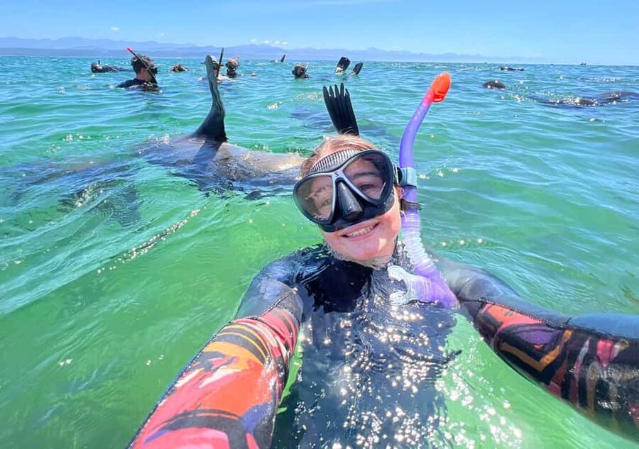 Plettenberg Bay: Seal Viewing Boat Trip - Who should book this seal viewing boat trip