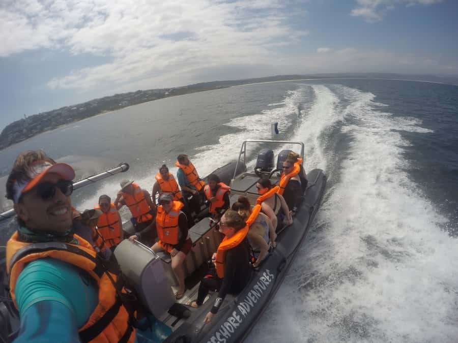 Plettenberg Bay: Swim with Seals - What the seals are like up close (and what “respectful” looks like)