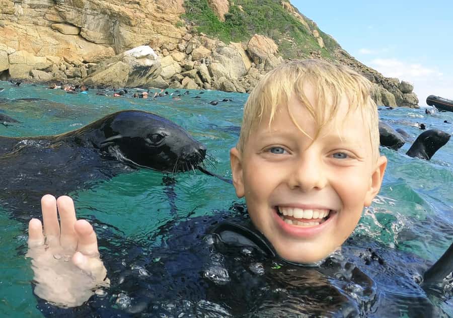 Plettenberg Bay: Swim with the Seals - Key things to know about the seal swim at Robberg