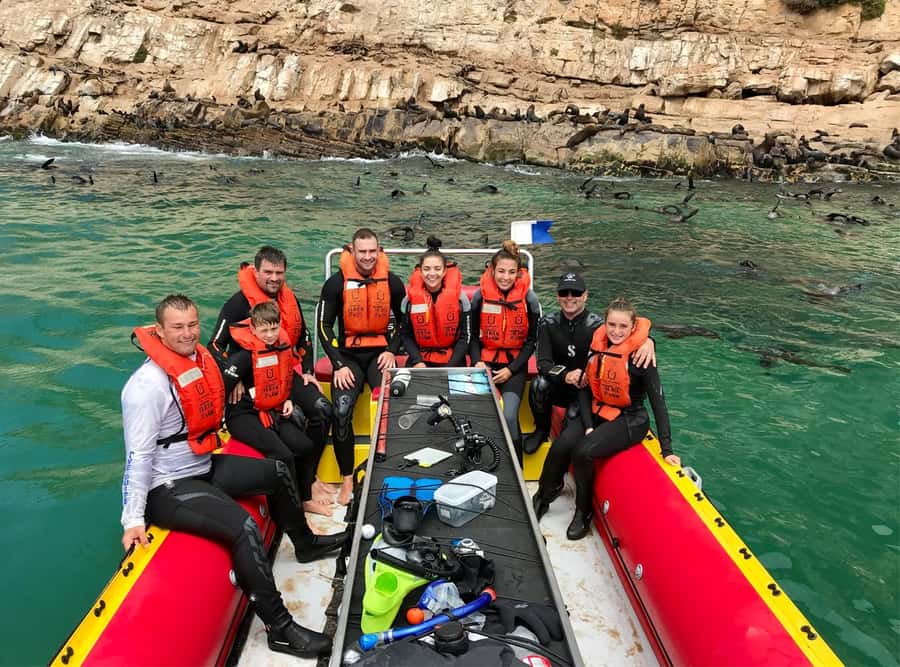 Plettenberg Bay: Swim with the Seals - Should you book this Swim with the Seals trip?